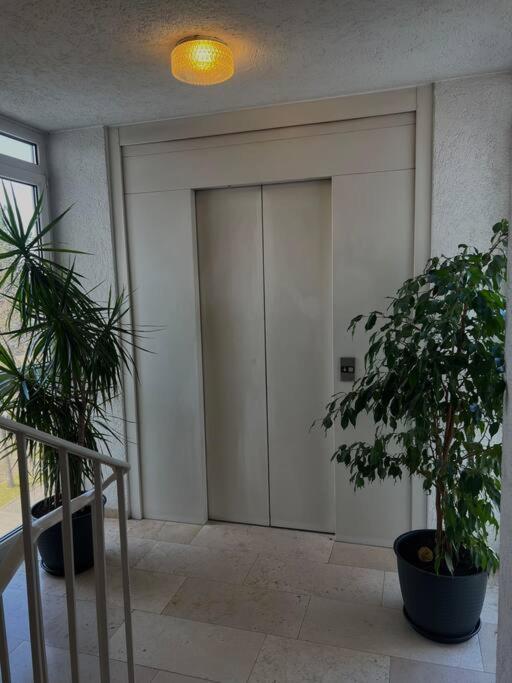 Penthouse Apartment In Kehl Exteriér fotografie